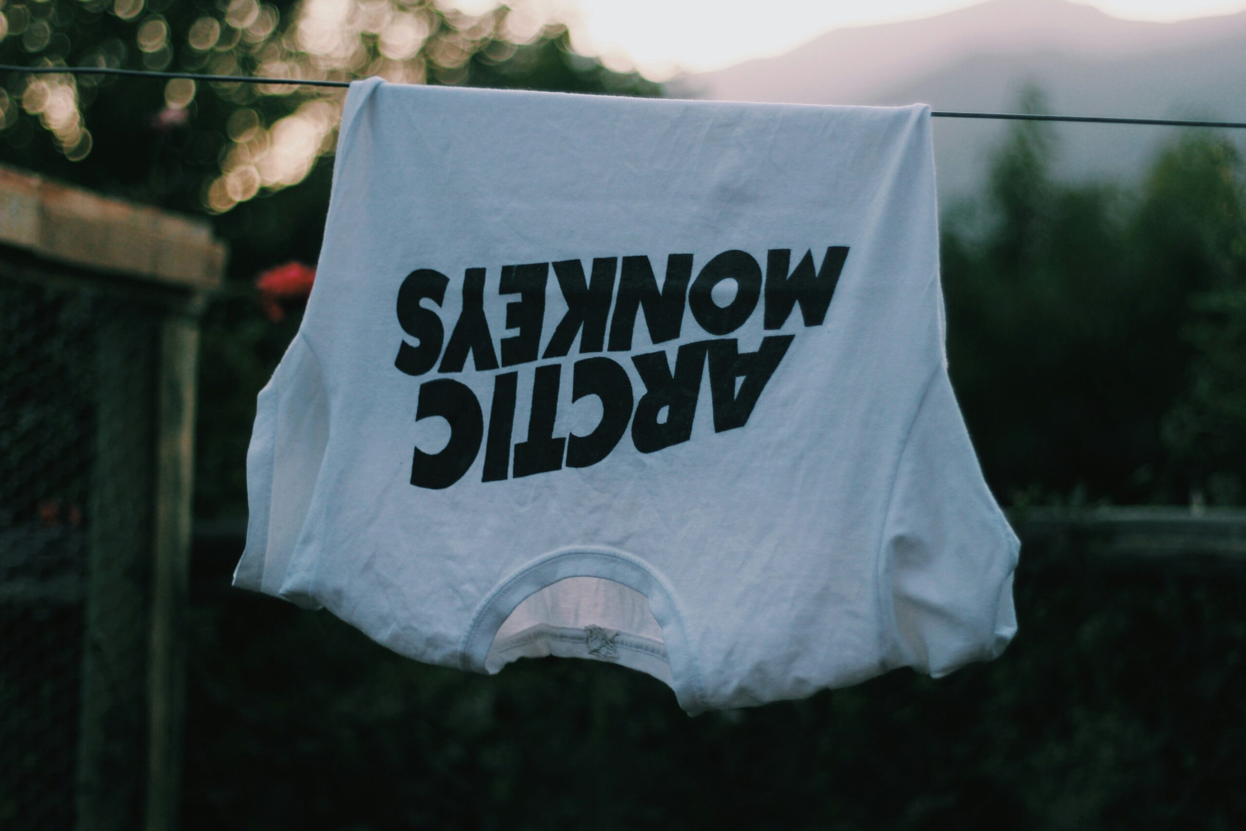 sofia-guaico-ujihpJUpnvY-unsplash
